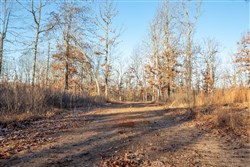 Dutchmanhollow Tract 6