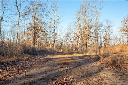 Dutchmanhollow Tract 6