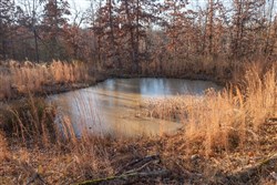 Dutchmanhollow Tract 6