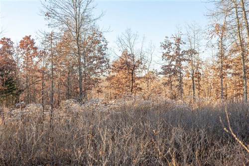 Dutchmanhollow Tract 6