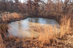 Dutchmanhollow Tract 6