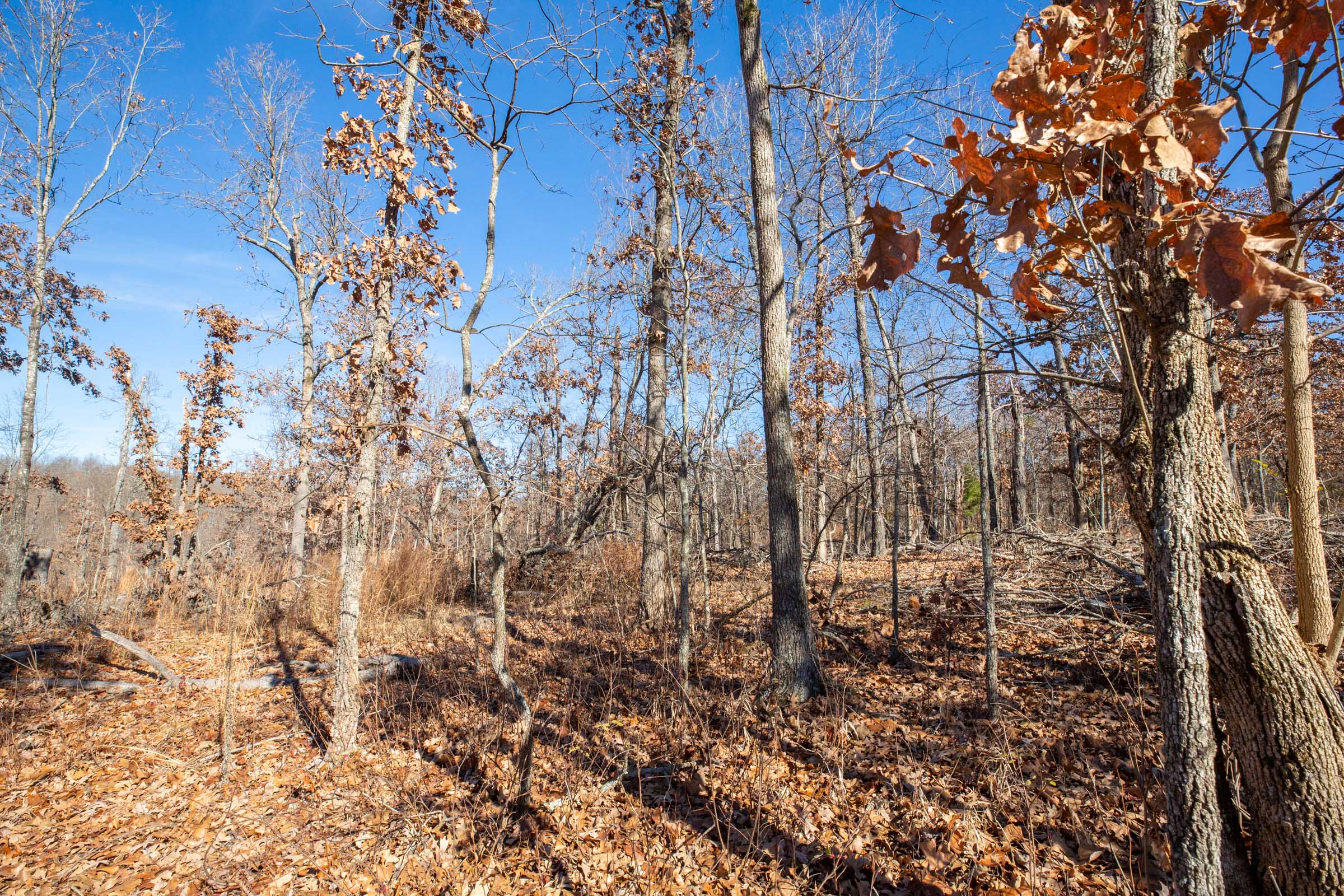 Tract 7 at Dutchmanhollow in Fulton County, Arkansas