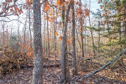 Dutchmanhollow Tract 8