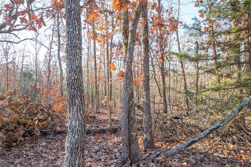 Dutchmanhollow Tract 8