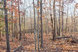 Dutchmanhollow Tract 8