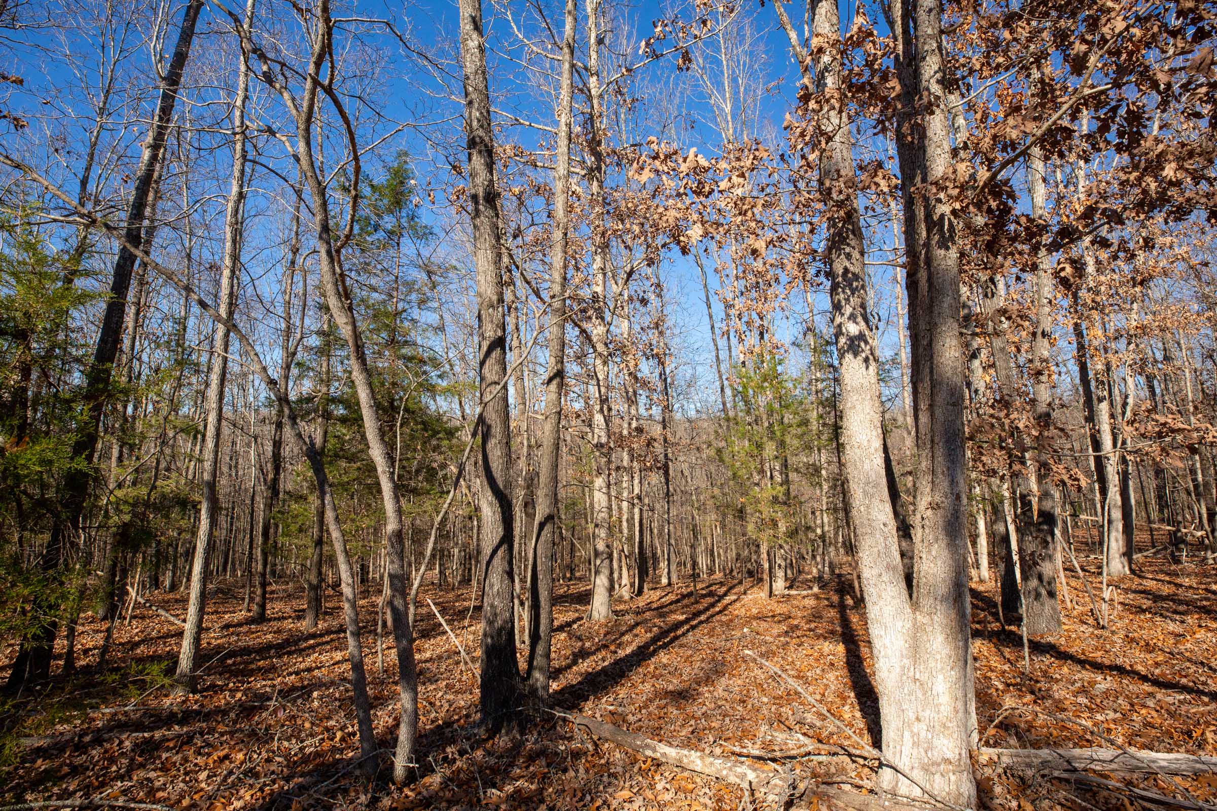Tract 9 at Dutchmanhollow in Fulton County, Arkansas