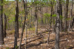 Lazybrook Tract 2