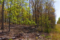 Lazybrook Tract 2