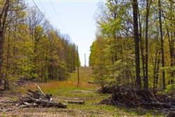 property photo for Lazybrook Tract 3, 7.46 acres for sale in Fulton County, Arkansas