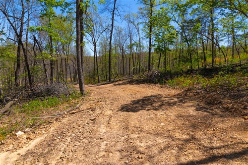 Lazybrook Tract 8