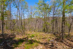 Lazybrook Tract 8