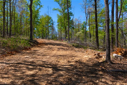 Lazybrook Tract 8
