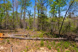 Lazybrook Tract 8