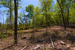Lazybrook Tract 8