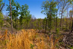 Lazybrook Tract 9