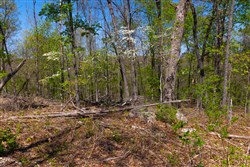 Lazybrook Tract 9