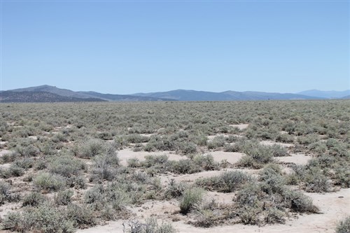 Moon Valley Ranch Tract 117