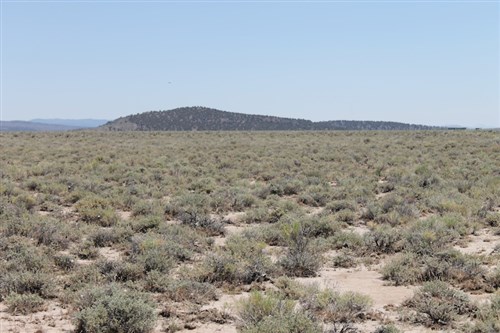 Moon Valley Ranch Tract 117
