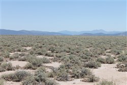 Moon Valley Ranch Tract 117