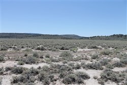 Moon Valley Ranch Tract 117