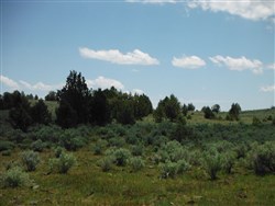 Moon Valley Ranch Tract 154
