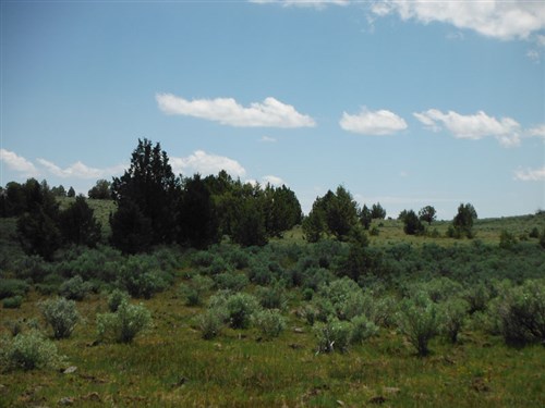 Moon Valley Ranch Tract 154