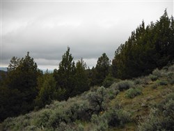 Moon Valley Ranch Tract 154