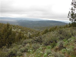 Moon Valley Ranch Tract 154