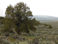 Moon Valley Ranch Tract 154