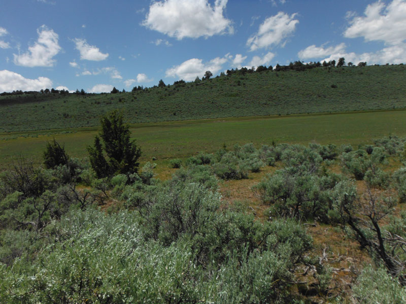 Tract 18 at Moon Valley Ranch in Lassen County, California