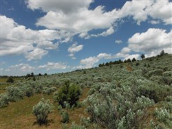property photo for Moon Valley Ranch Tract 18, 20 acres for sale in Lassen County, California