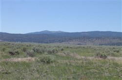 property photo for Moon Valley Ranch Tract 182, 20.1 acres for sale in Lassen County, California