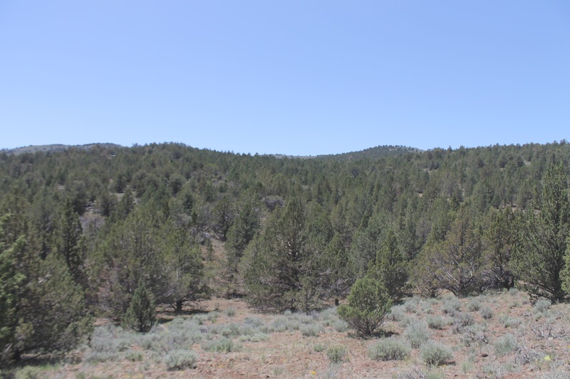 Tract 199 at Moon Valley Ranch in Lassen County, California