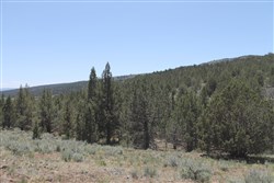 property photo for Moon Valley Ranch Tract 199, 20.56 acres for sale in Lassen County, California
