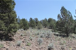 property photo for Moon Valley Ranch Tract 199, 20.56 acres for sale in Lassen County, California