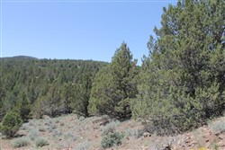 property photo for Moon Valley Ranch Tract 199, 20.56 acres for sale in Lassen County, California