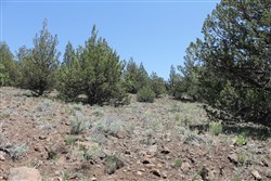 property photo for Moon Valley Ranch Tract 199, 20.56 acres for sale in Lassen County, California