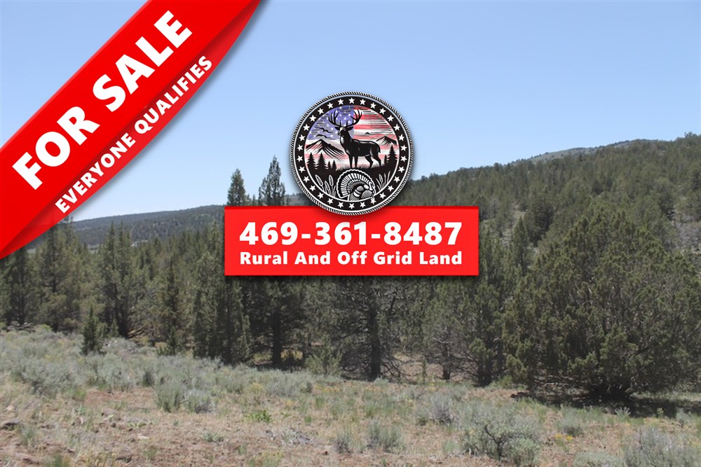 20.56 acre rural land tract for sale at Moon Valley Ranch Tract 199 in Lassen County, California