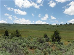 Moon Valley Ranch Tract 31