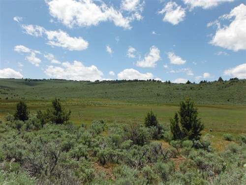 Moon Valley Ranch Tract 31