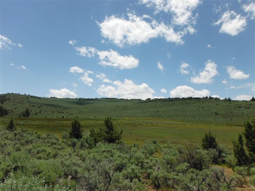 Moon Valley Ranch Tract 31