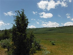 Moon Valley Ranch Tract 31