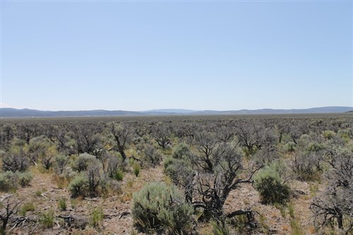 Moon Valley Ranch Tract 331