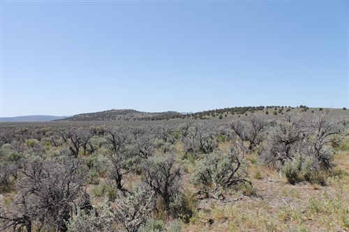Moon Valley Ranch Tract 331
