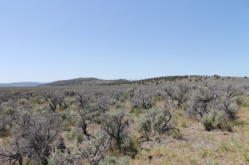 Tract 332 at Moon Valley Ranch in Lassen County, California