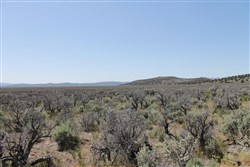property photo for Moon Valley Ranch Tract 332, 20.2 acres for sale in Lassen County, California