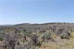 property photo for Moon Valley Ranch Tract 332, 20.2 acres for sale in Lassen County, California