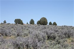 property photo for Moon Valley Ranch Tract 332, 20.2 acres for sale in Lassen County, California
