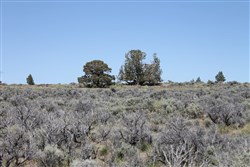 property photo for Moon Valley Ranch Tract 332, 20.2 acres for sale in Lassen County, California