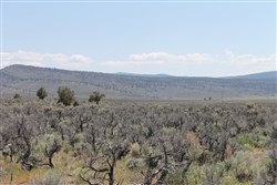 property photo for Moon Valley Ranch Tract 332, 20.2 acres for sale in Lassen County, California